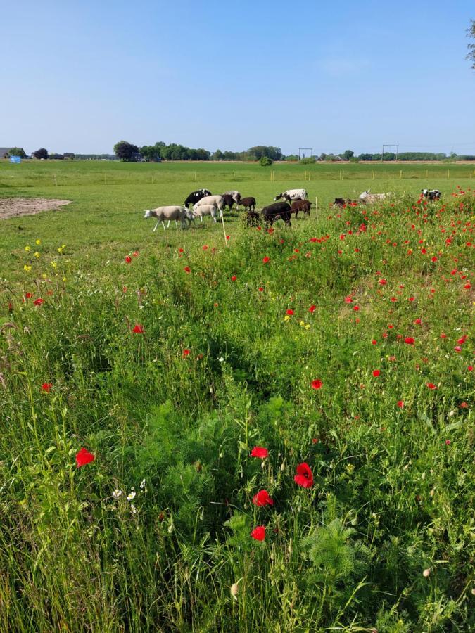Boerderijkamer De Hooizolder Wijhe Eksteriør billede